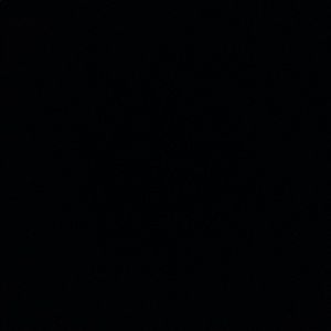 Meet your Posher, Evie